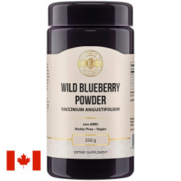 Canadian Wild Blueberry Powder (Vaccinium angustifolium) 250g, I Like It CLEAN - 1