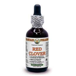 Red Clover 60ml (Trifolium...