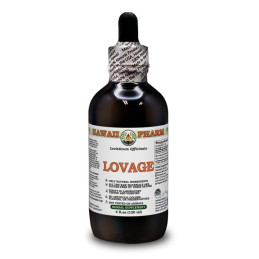 Lovage (Levisticum officinale) 120ml, Hawaii Pharm - 1